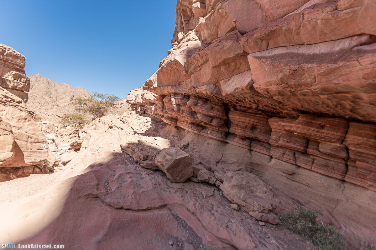 Израильская тропа, участок 46 Гора Йоаш - Вади Гешрон - Эйлат | Israel National Trail - Yoash Mt - Eilat | שביל ישראל, קטע 46 - הר יואש - אילת | shvil.LookAtIsrael.com - Фото путешествия по Израилю