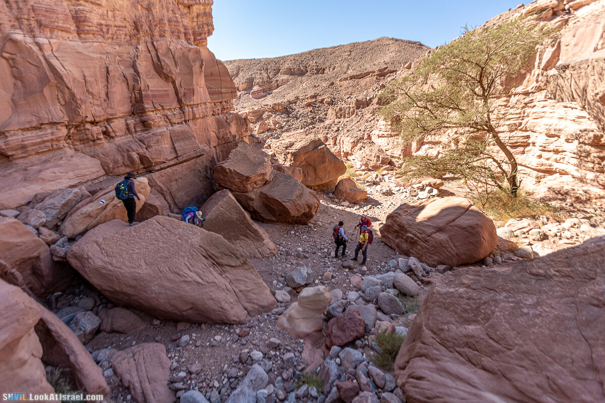 Израильская тропа, участок 46 Гора Йоаш - Вади Гешрон - Эйлат | Israel National Trail - Yoash Mt - Eilat | שביל ישראל, קטע 46 - הר יואש - אילת | shvil.LookAtIsrael.com - Фото путешествия по Израилю