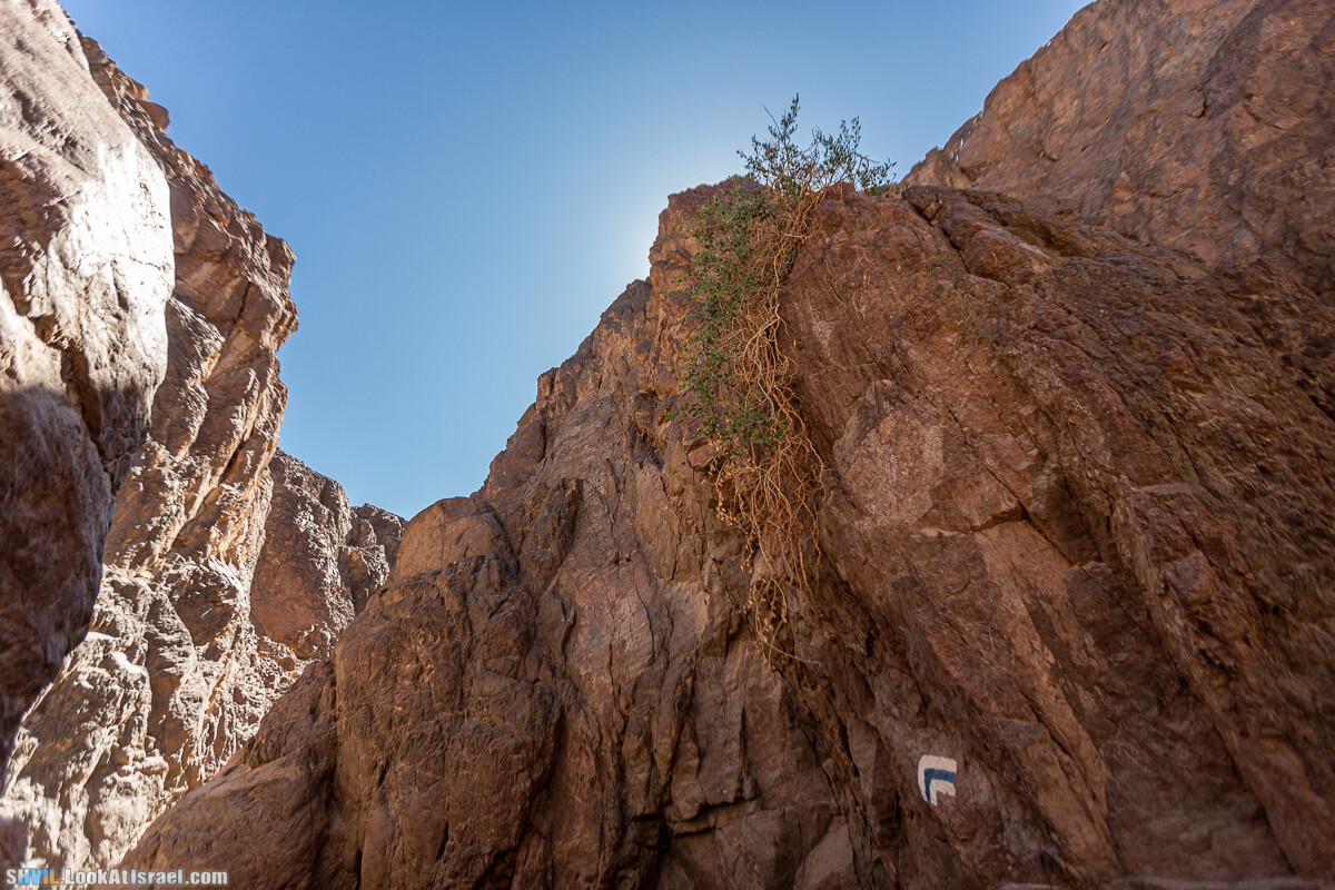 Израильская тропа, участок 46 Гора Йоаш - Вади Гешрон - Эйлат | Israel National Trail - Yoash Mt - Eilat | שביל ישראל, קטע 46 - הר יואש - אילת | shvil.LookAtIsrael.com - Фото путешествия по Израилю