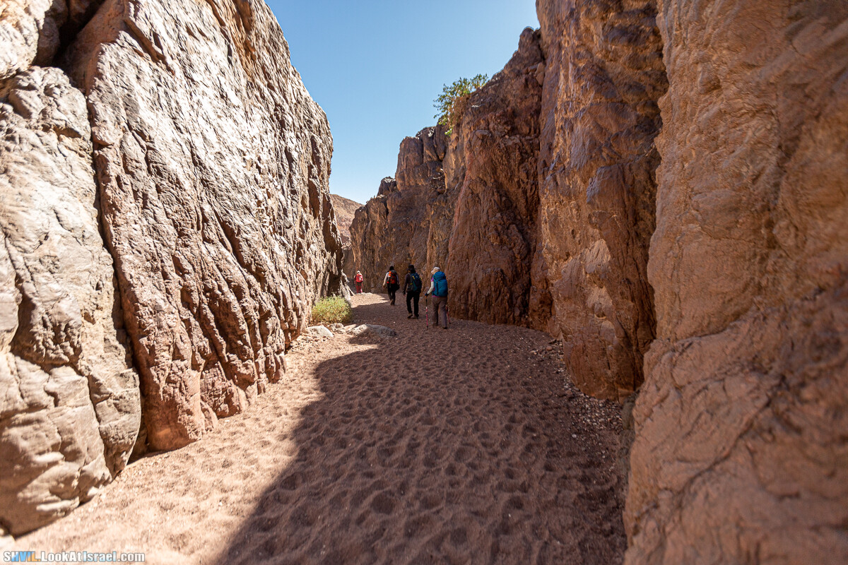 Израильская тропа, участок 46 Гора Йоаш - Вади Гешрон - Эйлат | Israel National Trail - Yoash Mt - Eilat | שביל ישראל, קטע 46 - הר יואש - אילת | shvil.LookAtIsrael.com - Фото путешествия по Израилю