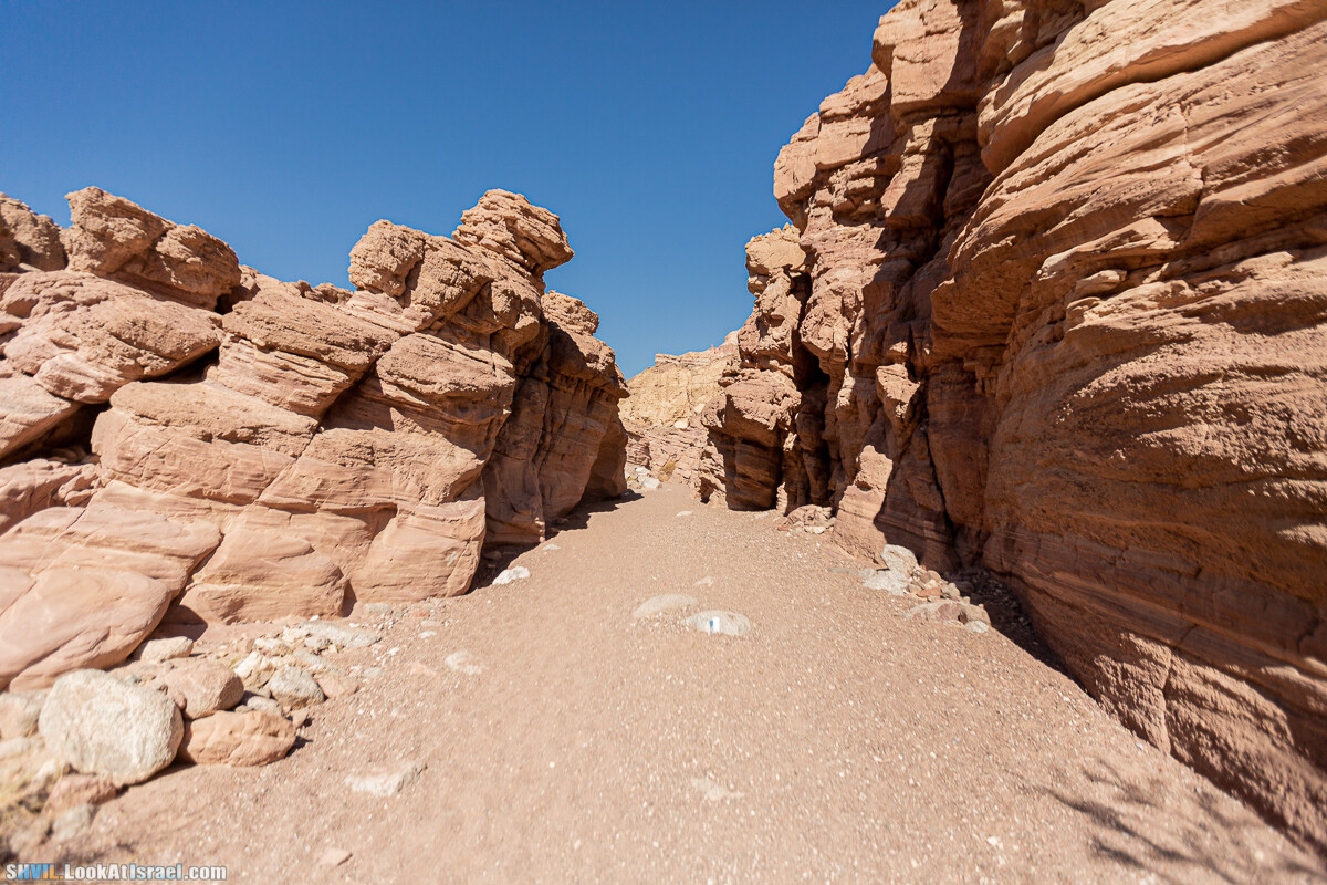 Израильская тропа, участок 46 Гора Йоаш - Вади Гешрон - Эйлат | Israel National Trail - Yoash Mt - Eilat | שביל ישראל, קטע 46 - הר יואש - אילת | shvil.LookAtIsrael.com - Фото путешествия по Израилю