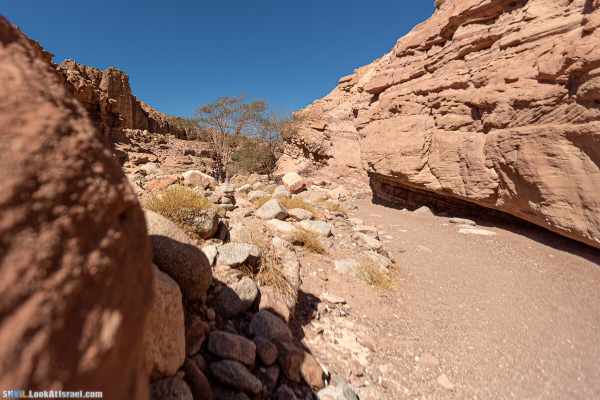 Израильская тропа, участок 46 Гора Йоаш - Вади Гешрон - Эйлат | Israel National Trail - Yoash Mt - Eilat | שביל ישראל, קטע 46 - הר יואש - אילת | shvil.LookAtIsrael.com - Фото путешествия по Израилю
