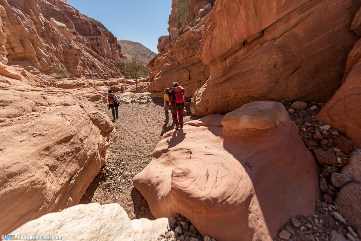 Израильская тропа, участок 46 Гора Йоаш - Вади Гешрон - Эйлат | Israel National Trail - Yoash Mt - Eilat | שביל ישראל, קטע 46 - הר יואש - אילת | shvil.LookAtIsrael.com - Фото путешествия по Израилю