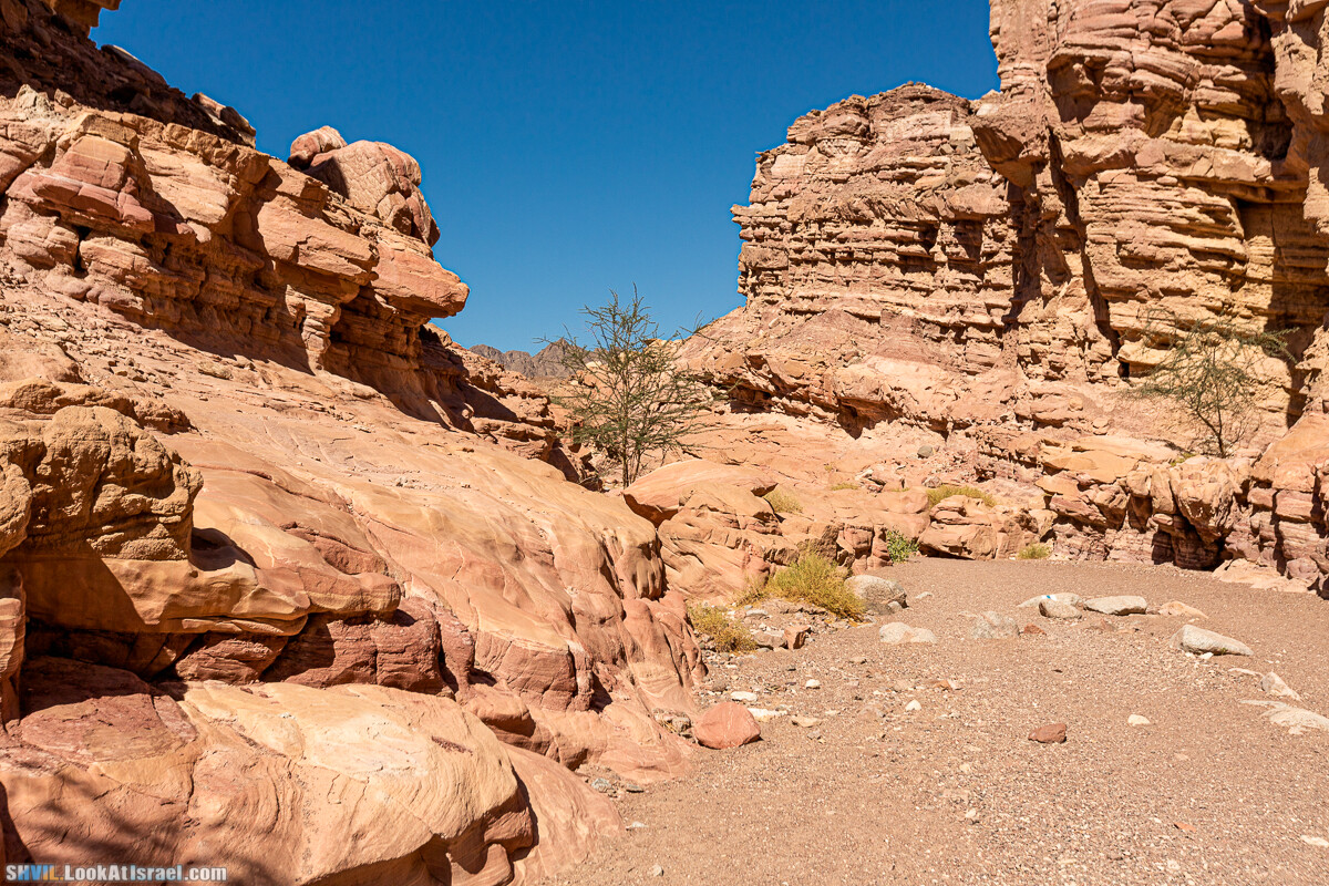 Израильская тропа, участок 46 Гора Йоаш - Вади Гешрон - Эйлат | Israel National Trail - Yoash Mt - Eilat | שביל ישראל, קטע 46 - הר יואש - אילת | shvil.LookAtIsrael.com - Фото путешествия по Израилю