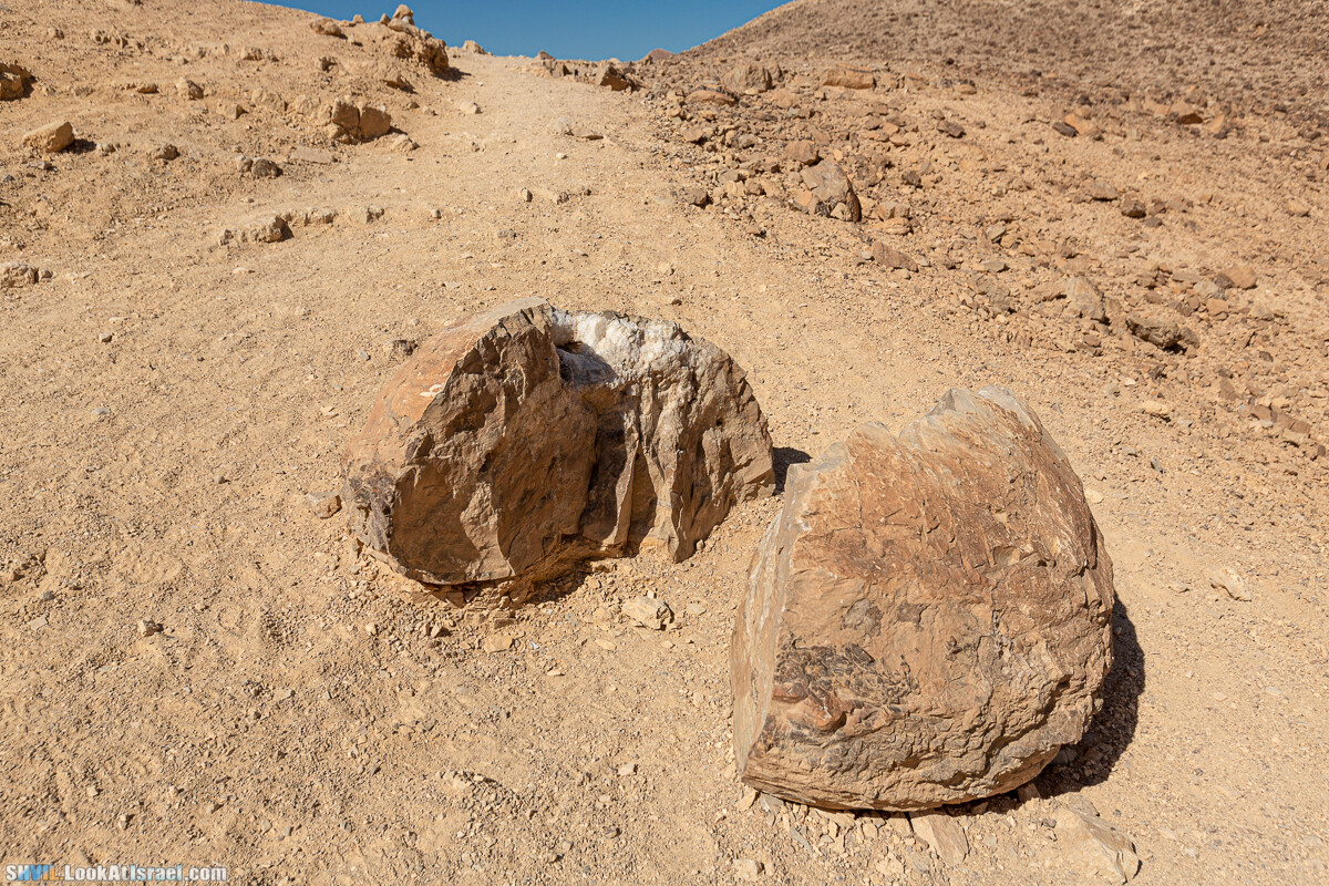 Израильская тропа, участок 46 Гора Йоаш - Вади Гешрон - Эйлат | Israel National Trail - Yoash Mt - Eilat | שביל ישראל, קטע 46 - הר יואש - אילת | shvil.LookAtIsrael.com - Фото путешествия по Израилю