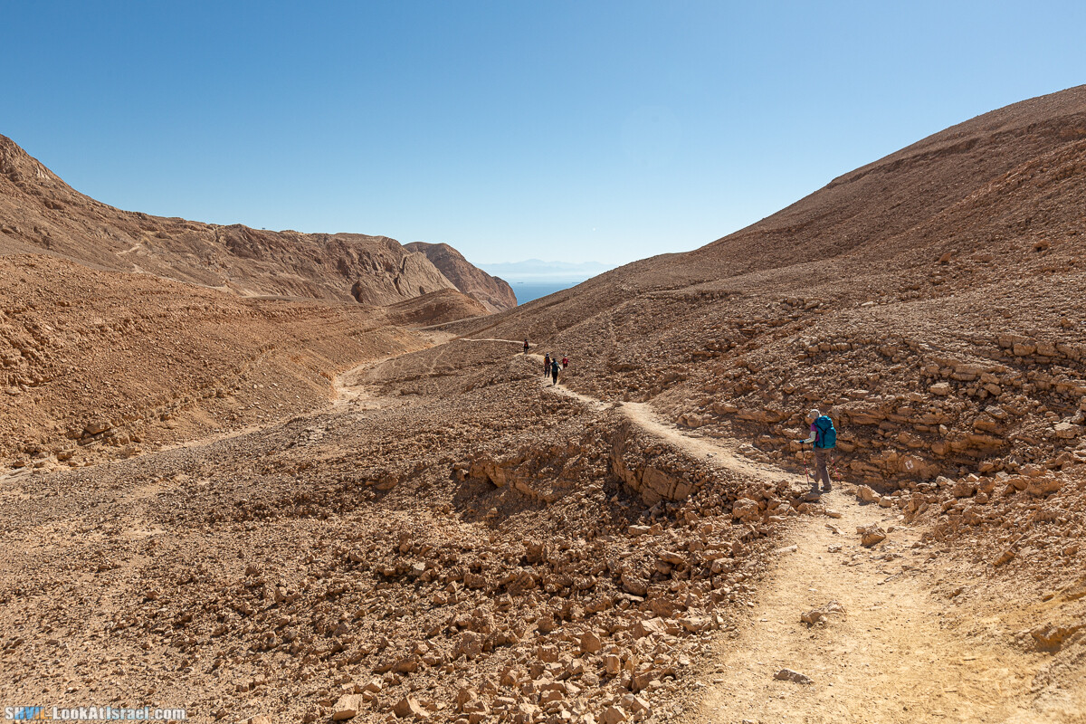 Израильская тропа, участок 46 Гора Йоаш - Вади Гешрон - Эйлат | Israel National Trail - Yoash Mt - Eilat | שביל ישראל, קטע 46 - הר יואש - אילת | shvil.LookAtIsrael.com - Фото путешествия по Израилю