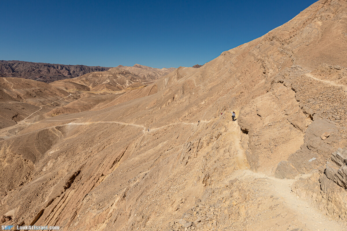 Израильская тропа, участок 46 Гора Йоаш - Вади Гешрон - Эйлат | Israel National Trail - Yoash Mt - Eilat | שביל ישראל, קטע 46 - הר יואש - אילת | shvil.LookAtIsrael.com - Фото путешествия по Израилю