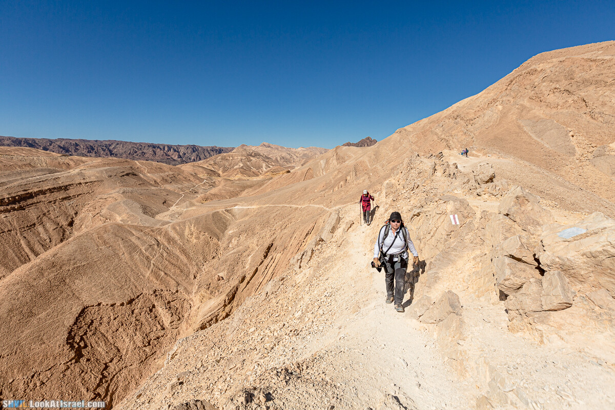 Израильская тропа, участок 46 Гора Йоаш - Вади Гешрон - Эйлат | Israel National Trail - Yoash Mt - Eilat | שביל ישראל, קטע 46 - הר יואש - אילת | shvil.LookAtIsrael.com - Фото путешествия по Израилю
