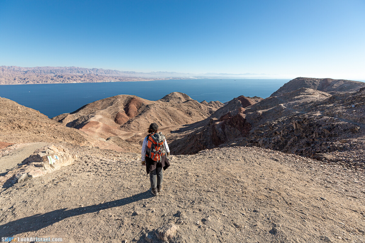 Израильская тропа, участок 46 Гора Йоаш - Вади Гешрон - Эйлат | Israel National Trail - Yoash Mt - Eilat | שביל ישראל, קטע 46 - הר יואש - אילת | shvil.LookAtIsrael.com - Фото путешествия по Израилю