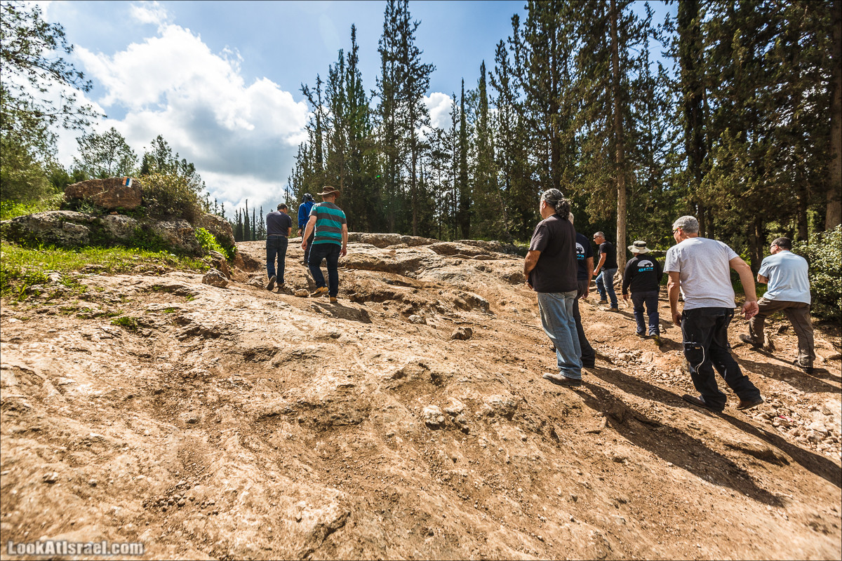 Курс вождения по бездорожью | LookAtIsrael.com - Фото путешествия по Израилю