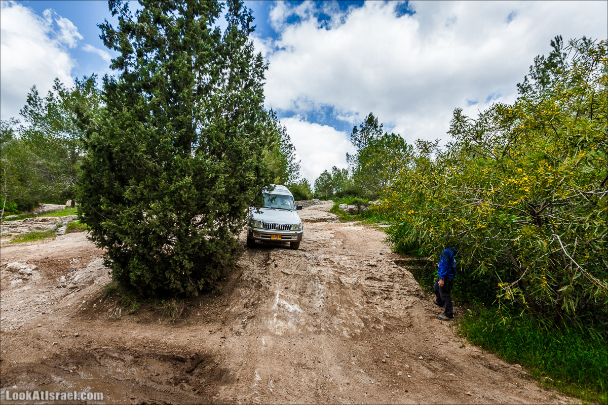 Курс вождения по бездорожью | LookAtIsrael.com - Фото путешествия по Израилю
