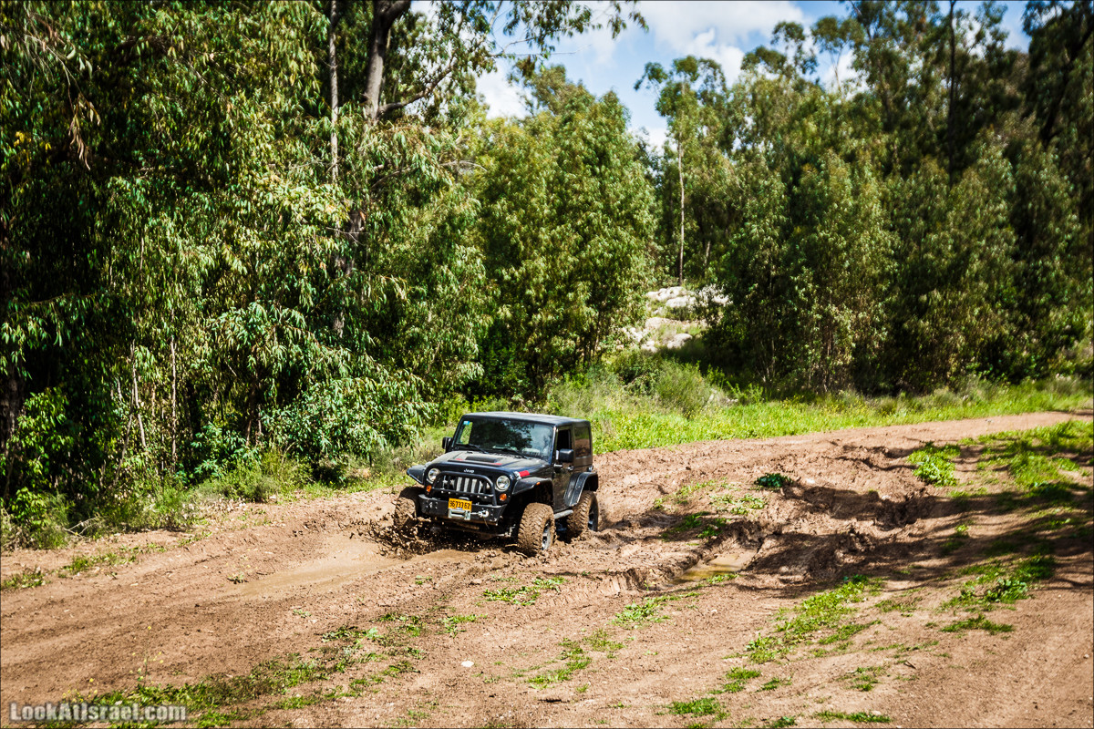 Курс вождения по бездорожью | LookAtIsrael.com - Фото путешествия по Израилю