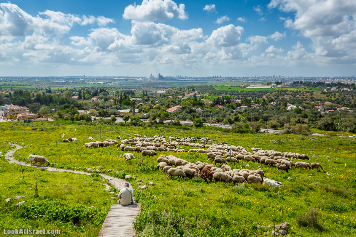 Курс вождения по бездорожью | LookAtIsrael.com - Фото путешествия по Израилю