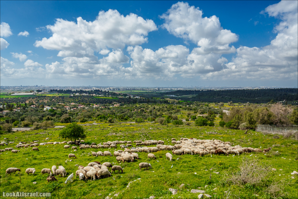 Курс вождения по бездорожью | LookAtIsrael.com - Фото путешествия по Израилю