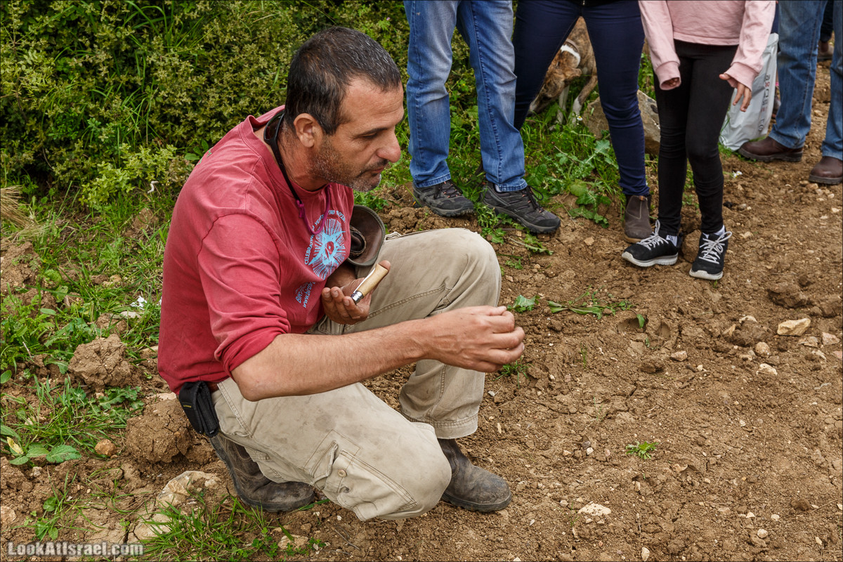 Курс 4x4 - полевая кухня для тех, кто любит путешествовать | LookAtIsrael.com - Фото путешествия по Израилю