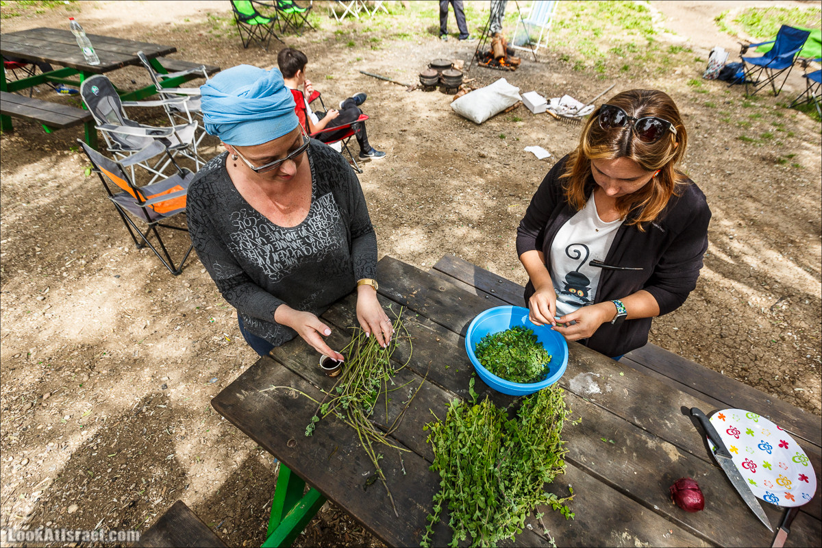 Курс 4x4 - полевая кухня для тех, кто любит путешествовать | LookAtIsrael.com - Фото путешествия по Израилю
