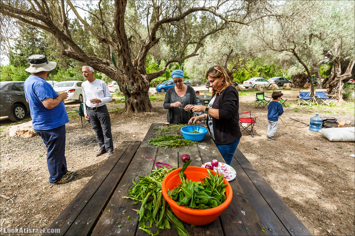 Курс 4x4 - полевая кухня для тех, кто любит путешествовать | LookAtIsrael.com - Фото путешествия по Израилю