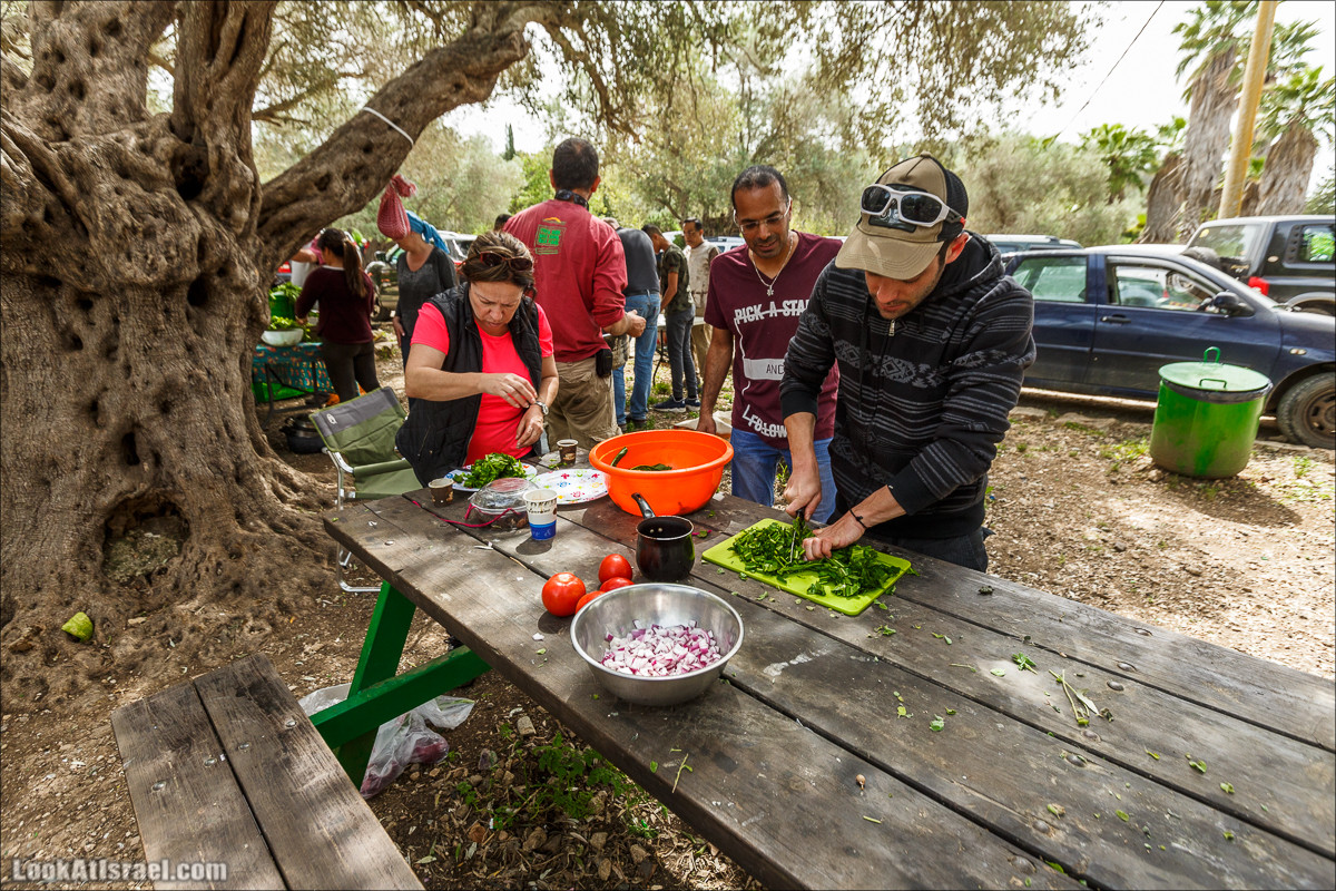 Курс 4x4 - полевая кухня для тех, кто любит путешествовать | LookAtIsrael.com - Фото путешествия по Израилю