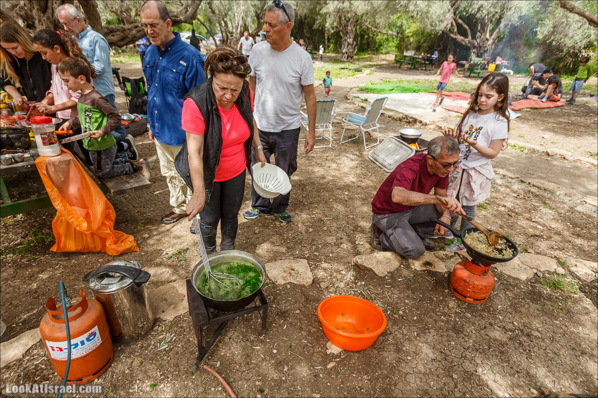 Курс 4x4 - полевая кухня для тех, кто любит путешествовать | LookAtIsrael.com - Фото путешествия по Израилю