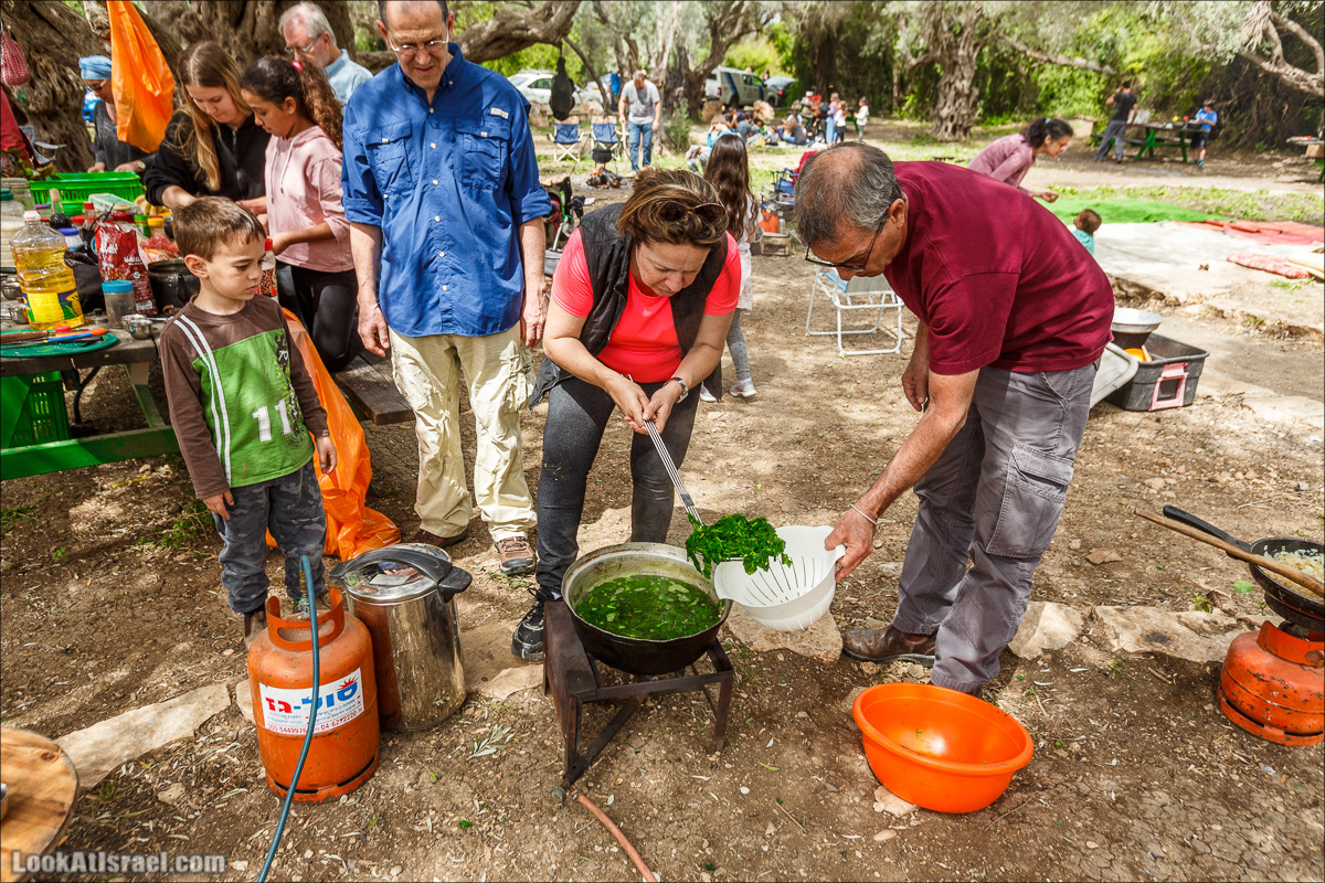 Курс 4x4 - полевая кухня для тех, кто любит путешествовать | LookAtIsrael.com - Фото путешествия по Израилю