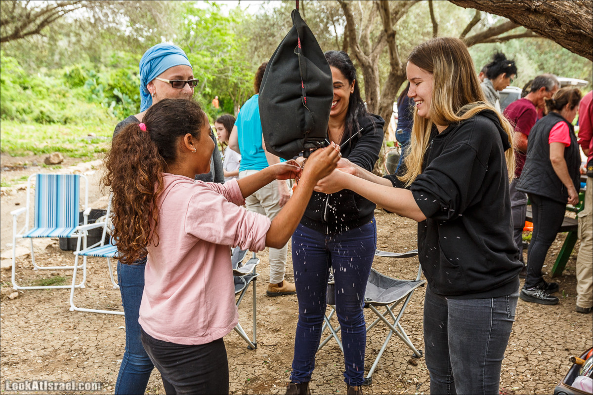 Курс 4x4 - полевая кухня для тех, кто любит путешествовать | LookAtIsrael.com - Фото путешествия по Израилю