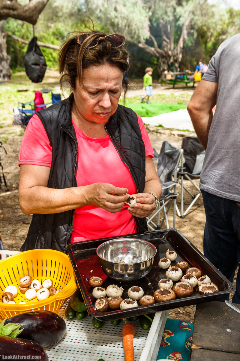 Курс 4x4 - полевая кухня для тех, кто любит путешествовать | LookAtIsrael.com - Фото путешествия по Израилю