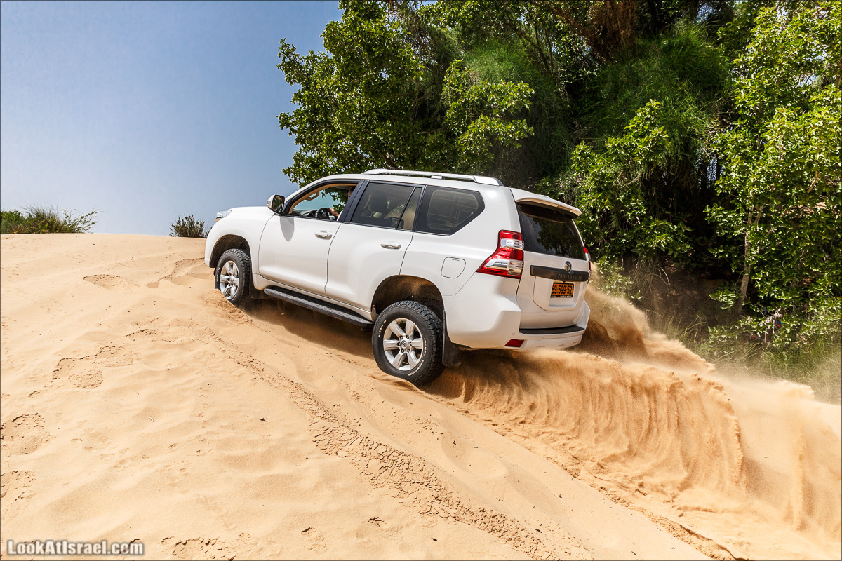 Курс вождения по бездорожью | Пески и дюны | LookAtIsrael.com - Фото путешествия по Израилю