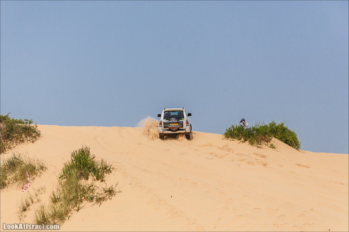 Курс вождения по бездорожью | Пески и дюны | LookAtIsrael.com - Фото путешествия по Израилю