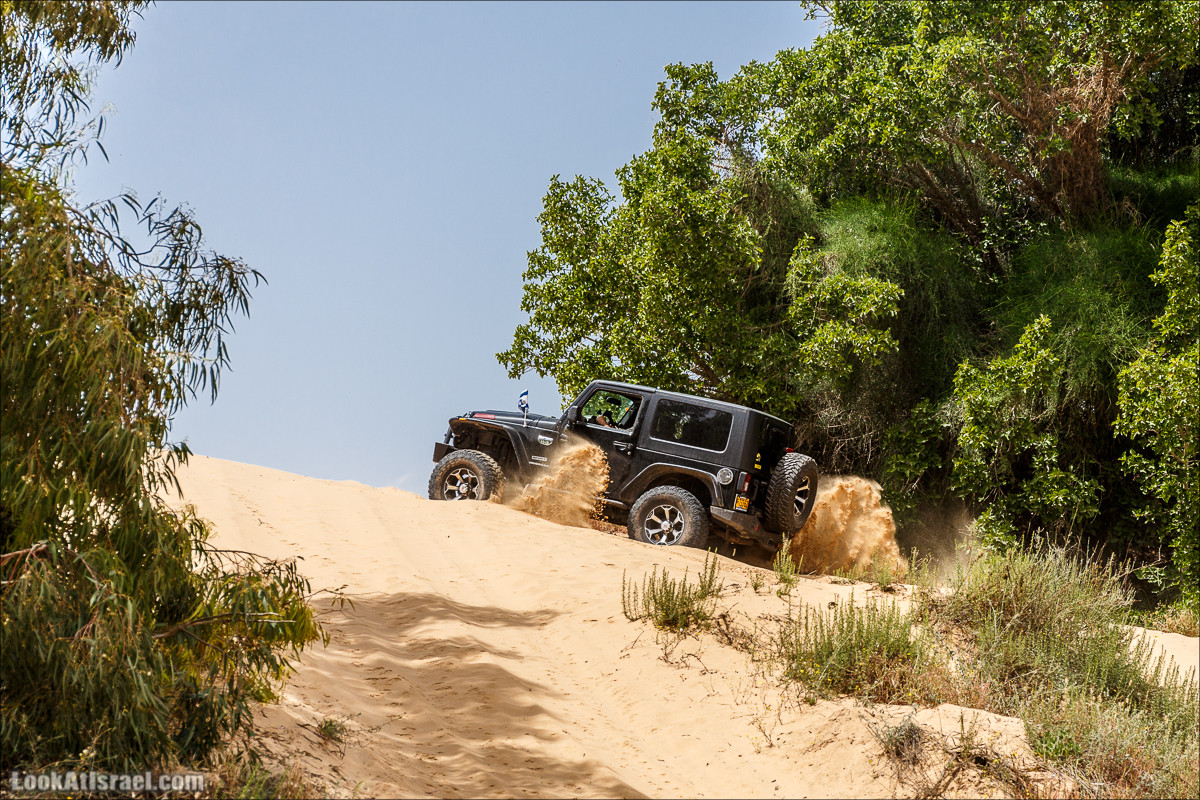 Курс вождения по бездорожью | Пески и дюны | LookAtIsrael.com - Фото путешествия по Израилю