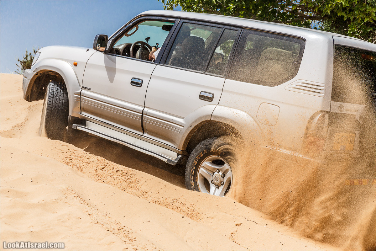 Курс вождения по бездорожью | Пески и дюны | LookAtIsrael.com - Фото путешествия по Израилю