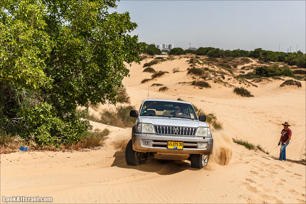 Курс вождения по бездорожью | Пески и дюны | LookAtIsrael.com - Фото путешествия по Израилю