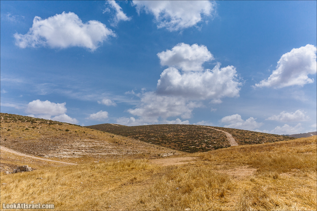 Курс вождения по бездорожью | Навигация и ориентирование на местности | LookAtIsrael.com - Фото путешествия по Израилю