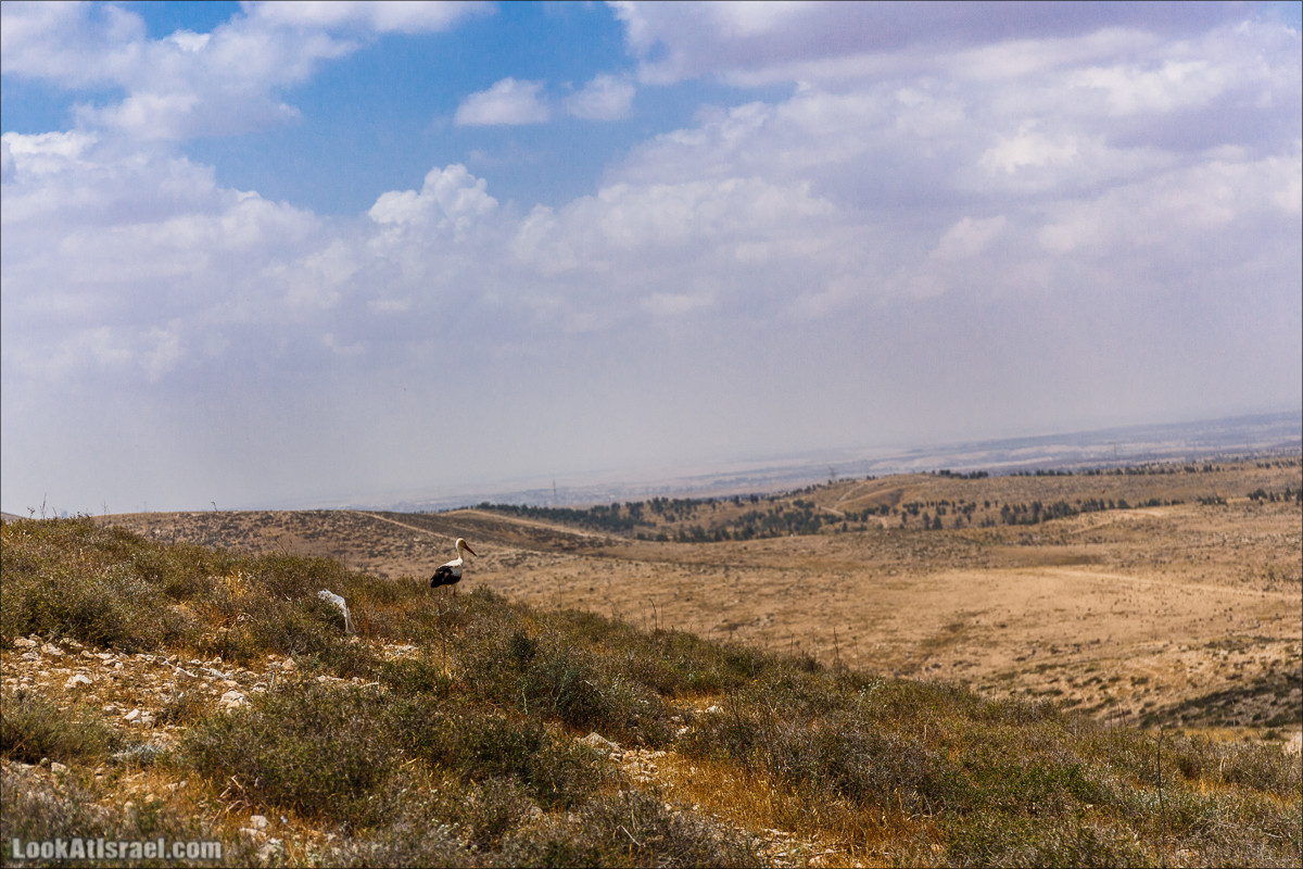 Курс вождения по бездорожью | Навигация и ориентирование на местности | LookAtIsrael.com - Фото путешествия по Израилю