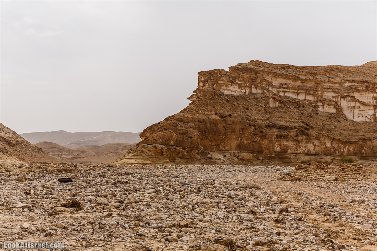 Курс вождения по бездорожью | Итоговый марафон - 2 дня в пустыне - Сакиней Димона - Димонские лезвия | LookAtIsrael.com - Фото путешествия по Израилю
