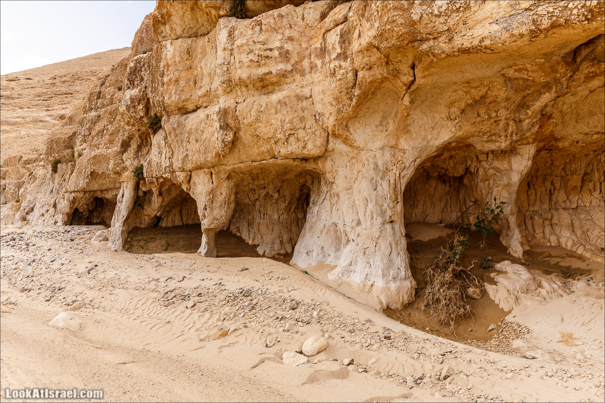 Курс вождения по бездорожью | Итоговый марафон - 2 дня в пустыне - Сакиней Димона - Димонские лезвия | LookAtIsrael.com - Фото путешествия по Израилю
