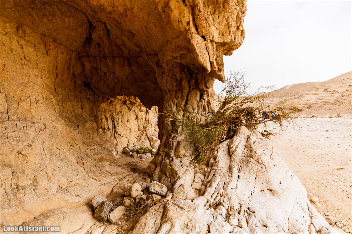 Курс вождения по бездорожью | Итоговый марафон - 2 дня в пустыне - Сакиней Димона - Димонские лезвия | LookAtIsrael.com - Фото путешествия по Израилю