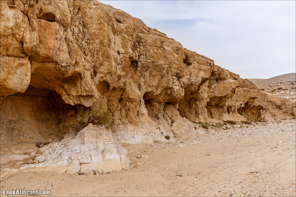 Курс вождения по бездорожью | Итоговый марафон - 2 дня в пустыне - Сакиней Димона - Димонские лезвия | LookAtIsrael.com - Фото путешествия по Израилю