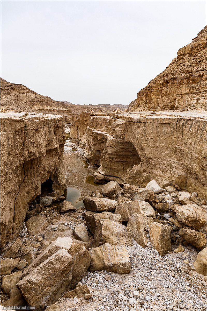 Курс вождения по бездорожью | Итоговый марафон - 2 дня в пустыне - Бескрайняя пустыня и гора Комот | LookAtIsrael.com - Фото путешествия по Израилю