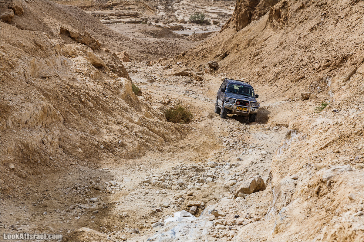 Курс вождения по бездорожью | Итоговый марафон - 2 дня в пустыне - Бескрайняя пустыня и гора Комот | LookAtIsrael.com - Фото путешествия по Израилю