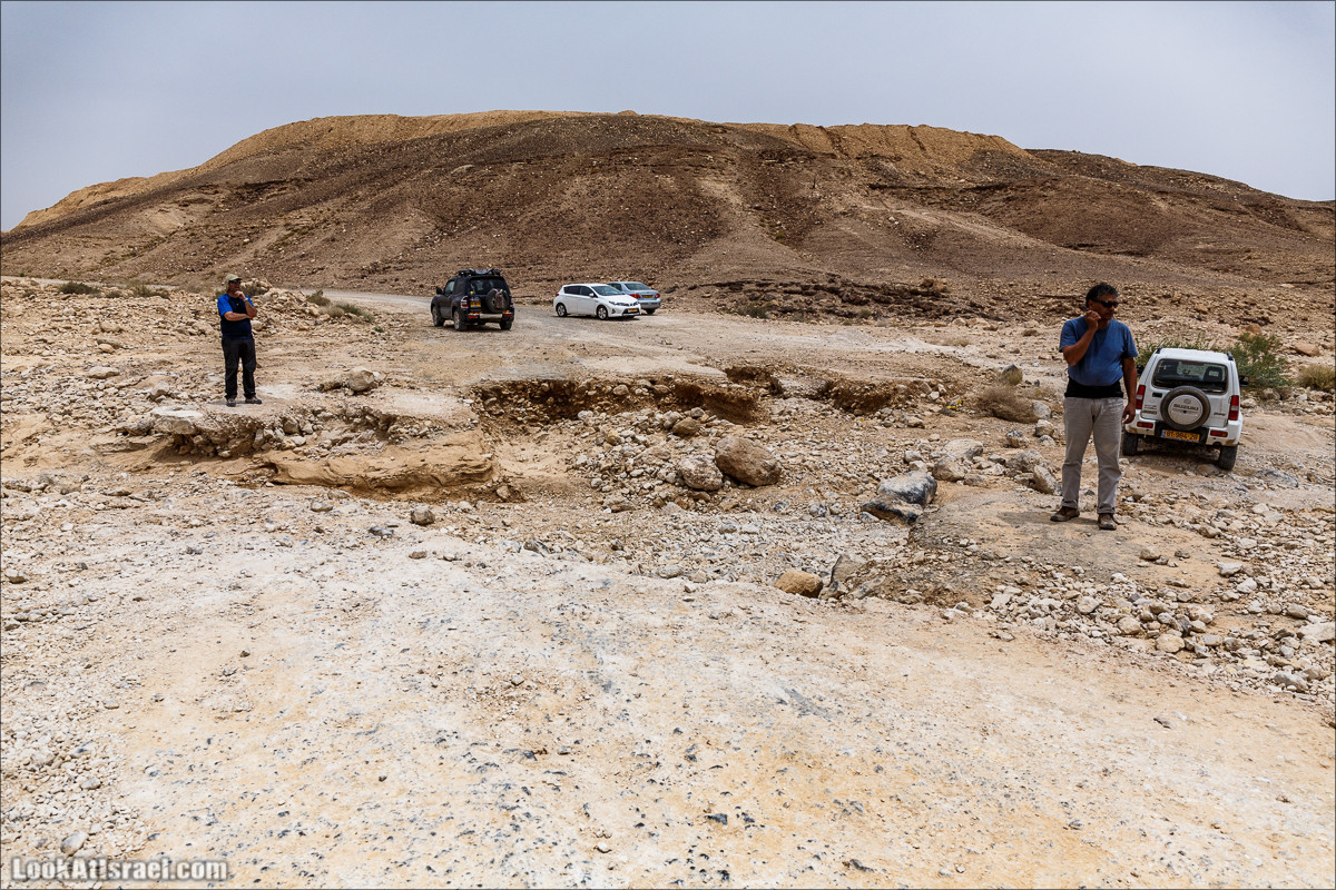 Курс вождения по бездорожью | Итоговый марафон - 2 дня в пустыне - Бескрайняя пустыня и гора Комот | LookAtIsrael.com - Фото путешествия по Израилю