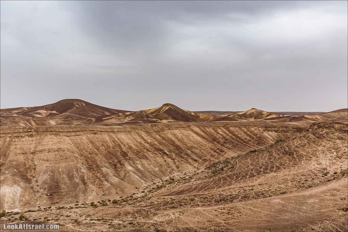 Курс вождения по бездорожью | Итоговый марафон - 2 дня в пустыне - Бескрайняя пустыня и гора Комот | LookAtIsrael.com - Фото путешествия по Израилю