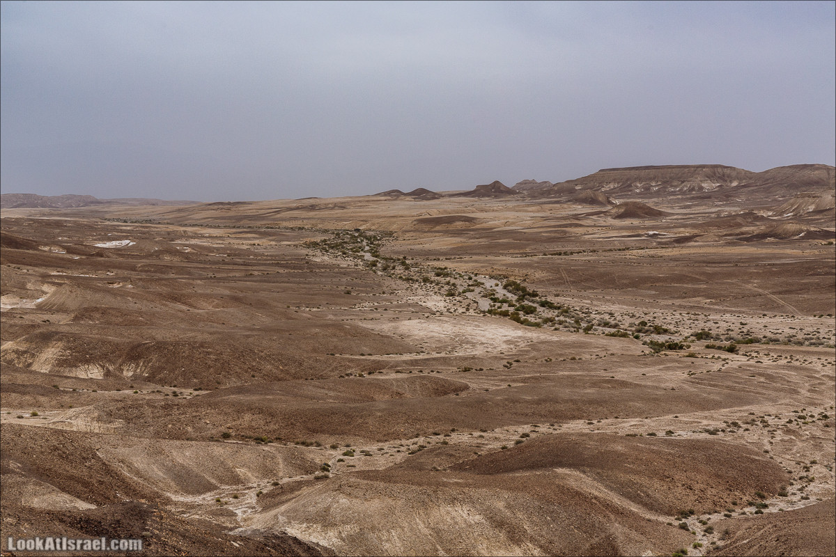 Курс вождения по бездорожью | Итоговый марафон - 2 дня в пустыне - Бескрайняя пустыня и гора Комот | LookAtIsrael.com - Фото путешествия по Израилю