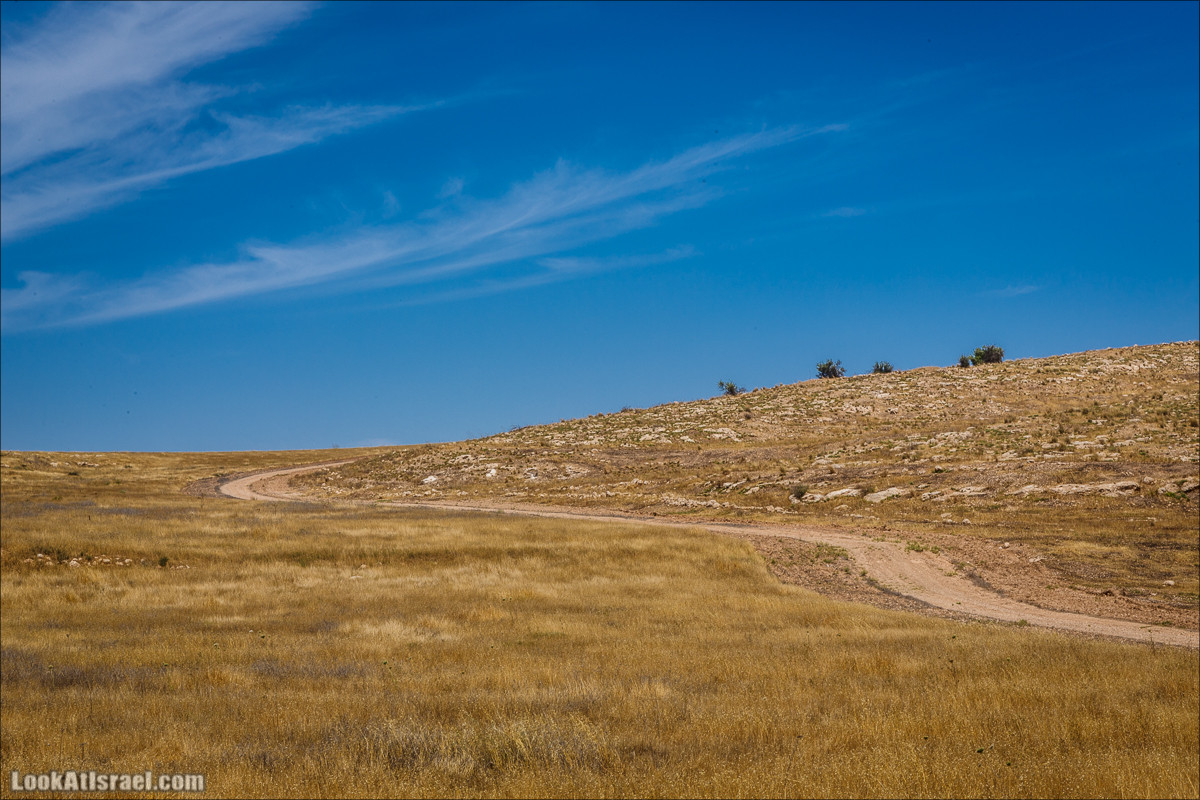 Курс вождения по бездорожью | Навигация и ориентирование на местности | LookAtIsrael.com - Фото путешествия по Израилю