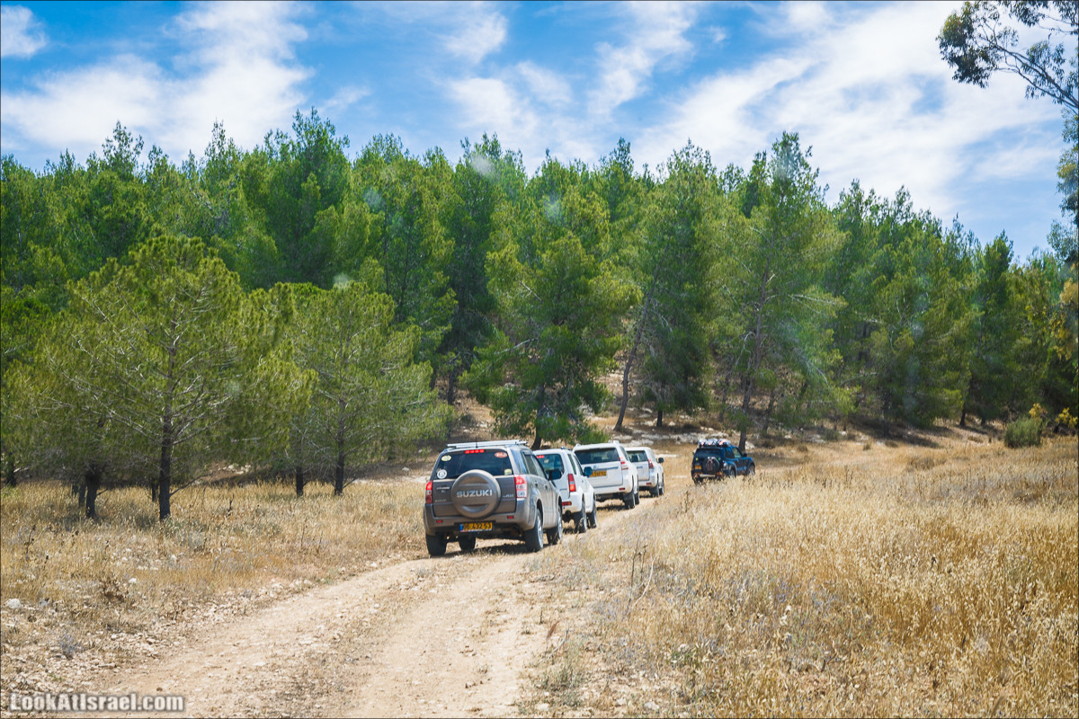 Курс вождения по бездорожью | Навигация и ориентирование на местности | LookAtIsrael.com - Фото путешествия по Израилю