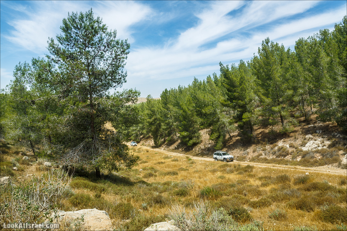 Курс вождения по бездорожью | Навигация и ориентирование на местности | LookAtIsrael.com - Фото путешествия по Израилю