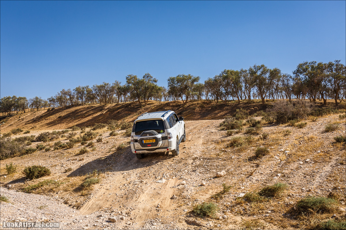 Курс вождения по бездорожью | Навигация и ориентирование на местности | LookAtIsrael.com - Фото путешествия по Израилю