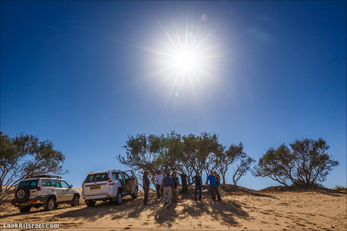 Курс вождения по бездорожью | Навигация и ориентирование на местности | LookAtIsrael.com - Фото путешествия по Израилю