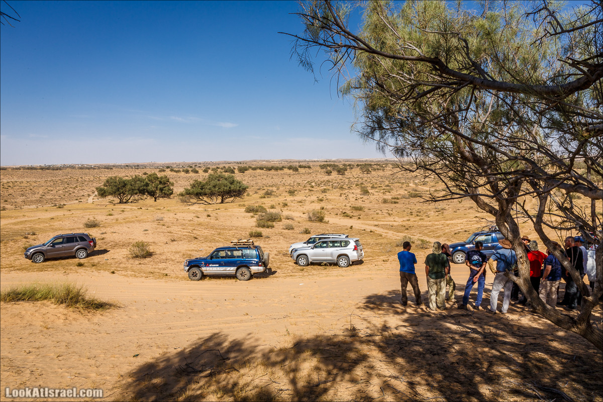 Курс вождения по бездорожью | Навигация и ориентирование на местности | LookAtIsrael.com - Фото путешествия по Израилю
