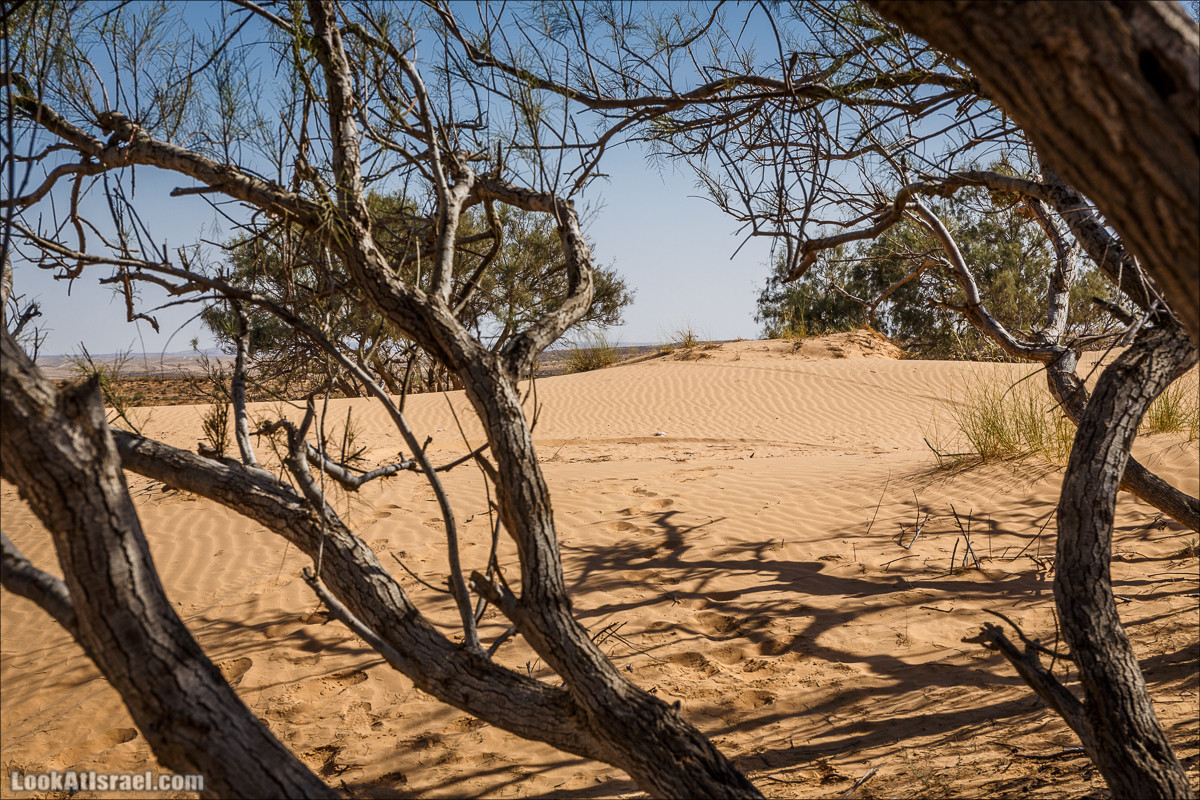 Курс вождения по бездорожью | Навигация и ориентирование на местности | LookAtIsrael.com - Фото путешествия по Израилю
