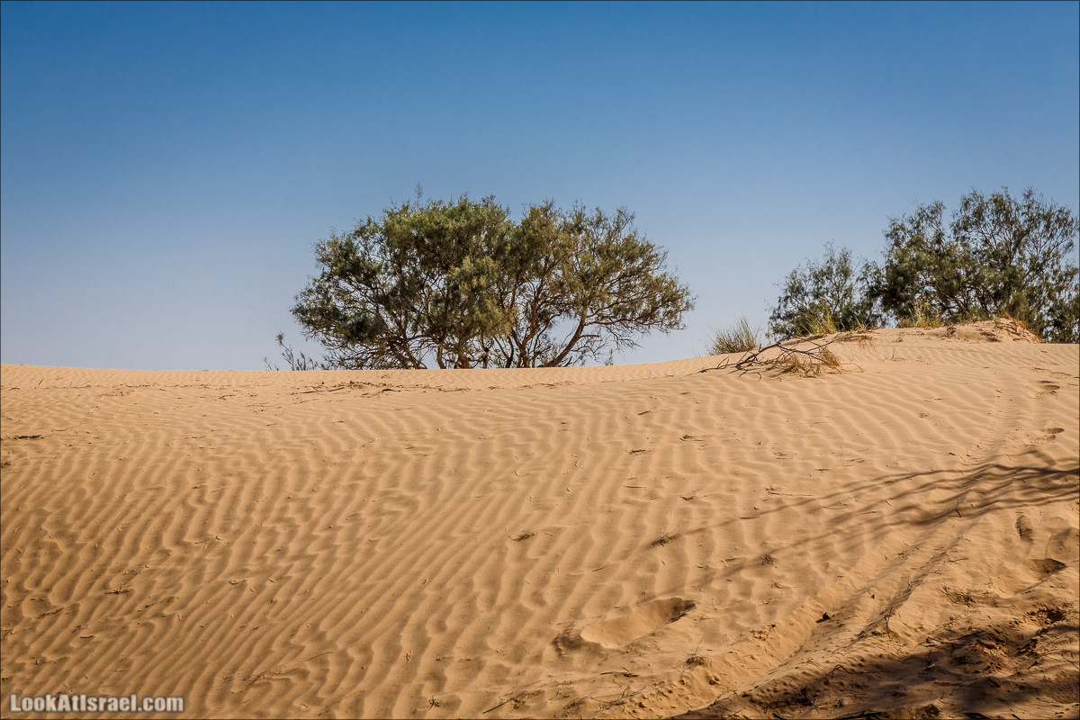 Курс вождения по бездорожью | Навигация и ориентирование на местности | LookAtIsrael.com - Фото путешествия по Израилю